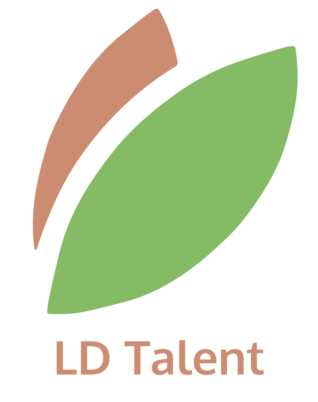 LD Talent footer logo