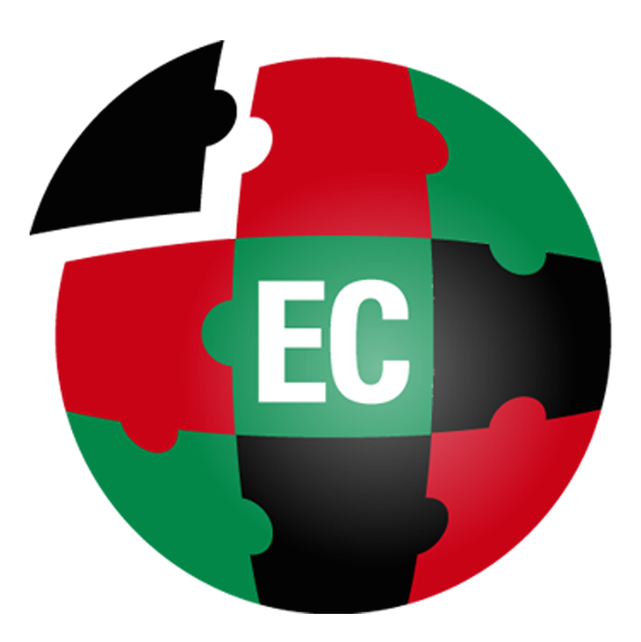 Ecadvisor logo