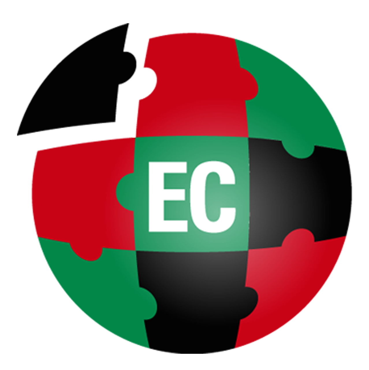 ECAdvisor logo